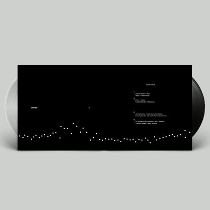 Vivrant Annum 001 (Limited 2x Vinyl)